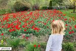 Les plus beaux parcs et jardins des Yvelines (78)