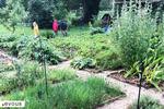 Les plus beaux parcs et jardins de Seine-Saint-Denis (93)