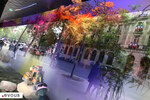 Meyboom 2024 à Bruxelles