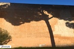 Visiter Toulon en un week-end